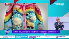On n'arrête pas le progrès : Attention, arnaques aux faux vêtements sur Internet ! - 23/11