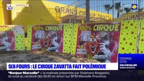 Six-Fours-les-Plages: le cirque Zavatta crée à nouveau la polémique