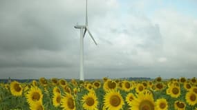 Le vent semble tourner pour l'éolien en Espagne.