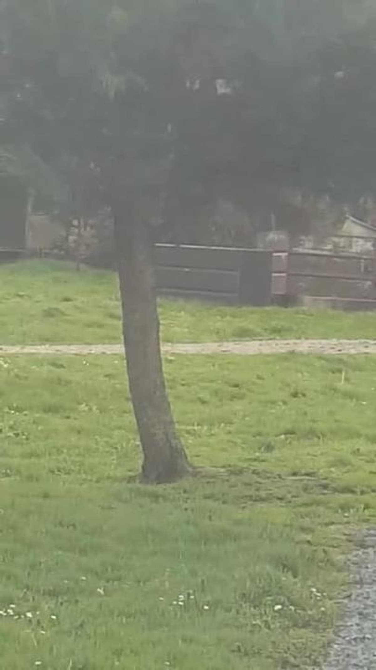 placeholder video