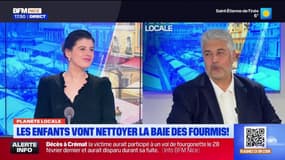 Planète Locale du mercredi 5 mars - Les enfants vont nettoyer la baie des fourmis !