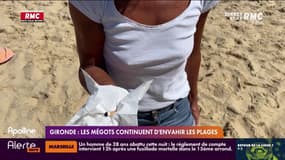 Gironde: les mégots continuent d'envahir les plages