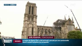 Pollution autour de Notre-Dame: "Le plomb peut causer des retards d'apprentissage et des baisses de QI lors de concentrations élevées"