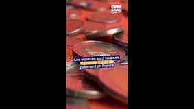 Le cash reste le premier moyen de paiement en France