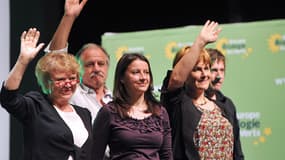 Europe Ecologie-Les Verts veut entrer au gouvernement