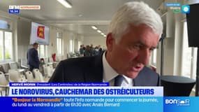 La région Normandie fait le point sur le norovirus, cauchemar des ostréiculteurs