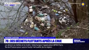 Yvelines: des déchets flottants après la récente crue de la Seine