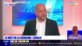 Bouon Jour Marsiho: "cigalo", le mot de la semaine