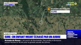 Eure: un enfant de 6 ans meurt écrasé par un arbre