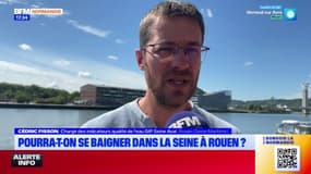 Pour le groupement d'intérêt public Seine-Aval, la baignade dans la Seine à Rouen est envisageable en 2034