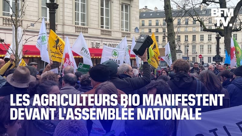 Pause du plan Écophyto, aides insuffisantes: les agriculteurs bio manifestent devant l'Assemblée nationale