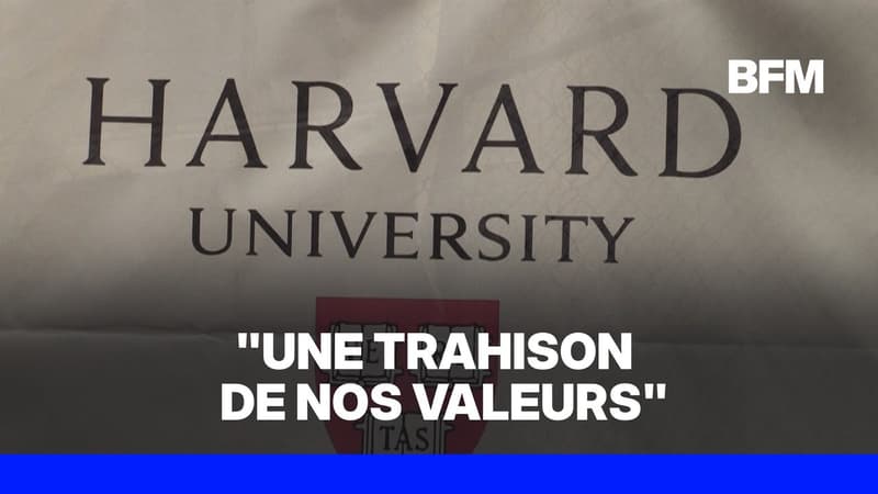 Harvard accepte de verser 53 millions de dollars pour solder les poursuites liées au scandale de la morgue