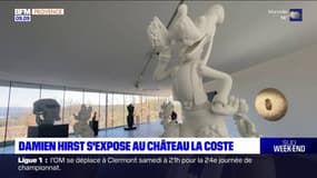 Bouches-du-Rhône: l'artiste britannique Damien Hirst s'expose au château La Coste