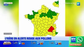 Isère: le département placé en alerte rouge aux pollens