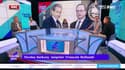 Nicolas Sarkozy sur François Hollande : "Je le méprise"