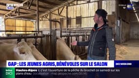 Gap: le salon de l'élevage met à l'honneur les agriculteurs