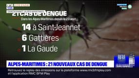 Alpes-Maritimes: 21 nouveaux cas de Dengue