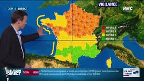 Tempête Freya: 44 départements en vigilance orange "vents violents"
