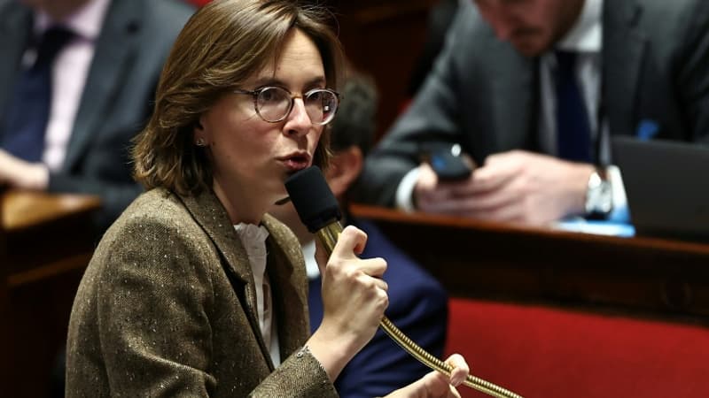 "On n'est pas seul, d'autres pays ont fait la demande": Amélie de Montchalin garde espoir pour un report du vote de l'accord Mercosur