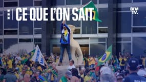 Des bolsonaristes pendant l'assaut du palais présidentiel du Planalto, le 8 janvier 2023, à Brasilia.