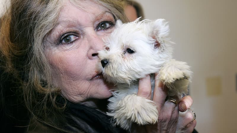 Brigitte Bardot appelle "ceux qui aiment les animaux" à ne pas voter Macron.