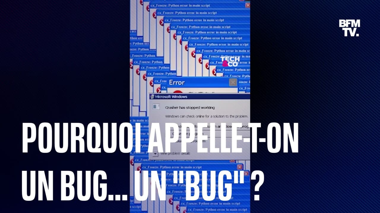 Pourquoi appelleton une panne informatique un... "bug"