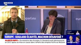 Yannick Jadot sur le rejet de la candidature de Sylvie Goulard à un poste de commissaire européen : "La France en sort affaiblie" 