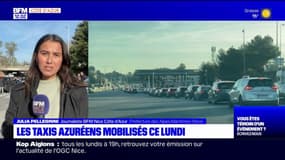 Côte d'Azur: mobilisation des chauffeurs de taxi
