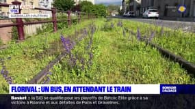 Haut-Rhin: le train de Guebwiller remplacé par un bus