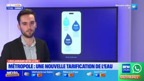 L'éclairage BFM Lyon: une nouvelle tarification de l'eau dans la métropole de Lyon