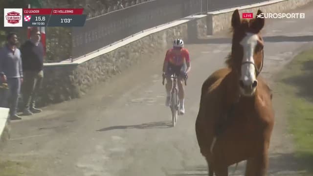 Cyclisme: scène surréaliste, un cheval sème la panique sur les routes des Strade Bianche féminines 