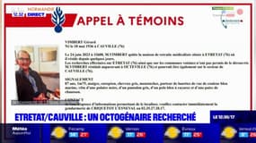 Seine-Maritime: un octogénaire porté disparu à Étretat, un appel à témoins lancé