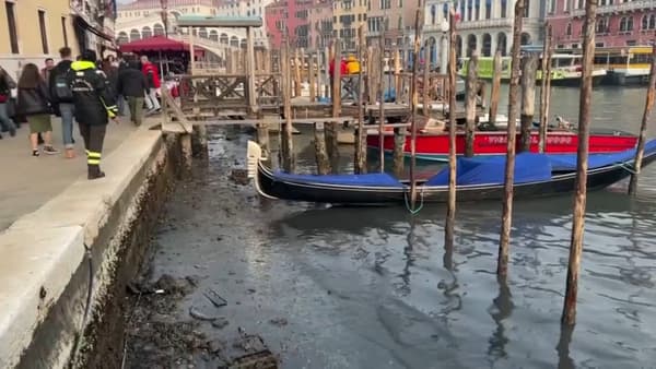 Sécheresse: à Venise, les canaux sont à sec à cause d'une marée basse d'une  durée exceptionnelle