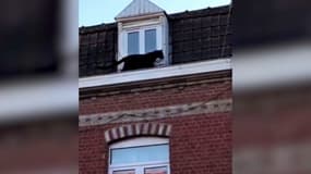 Hallucinant ! Une panthère noire filmée en train de se balader sur les toits d'Armentières dans le Nord