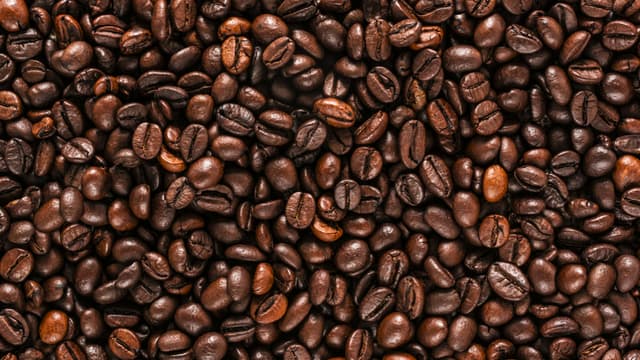 Le café et le thé constituent les principaux vecteurs alimentaires de la caféine.