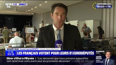 Les Français votent pour leurs 81 eurodéputés : commune de Grasse - 09/06