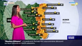 Météo Alsace: un vendredi sous un grand soleil, 26°C attendus à Strasbourg