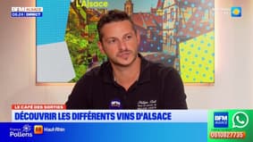 Le Café des Sorties: à la découverte des différents vins d'Alsace