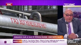 Guerre en Ukraine: combien coûterait un embargo total sur le gaz, le pétrole et le charbon russe?