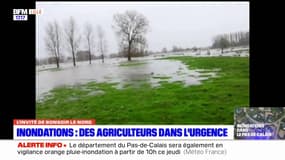 Inondations dans le Pas-de-Calais: des agriculteurs dans l'urgence