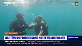 L'été chez nous: baptême de plongée dans notre Méditerranée