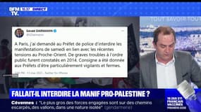 Fallait-il interdire la manifestation pro-Palestine à Paris ?