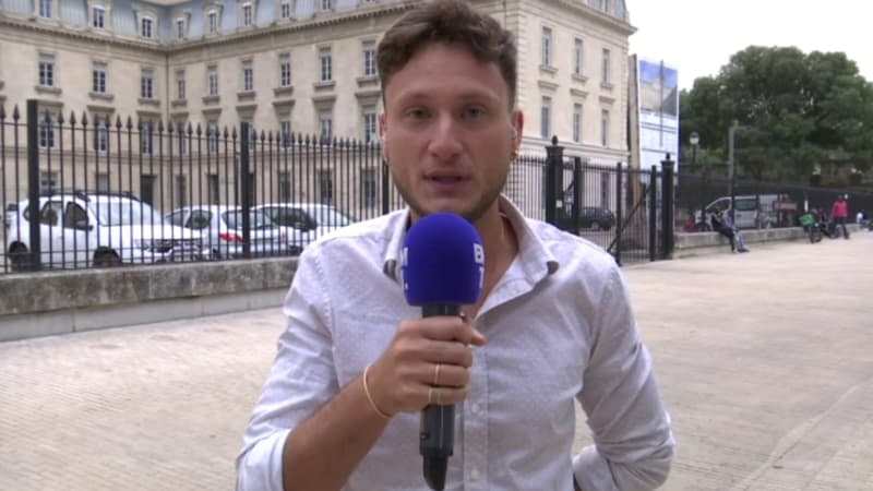 Législatives: Raphaël Arnault, candidat fiché S, ne va 