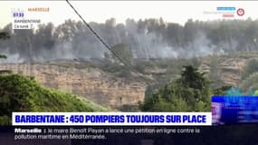 Incendie de la Montagnette: le feu maîtrisé, 450 pompiers toujours mobilisés