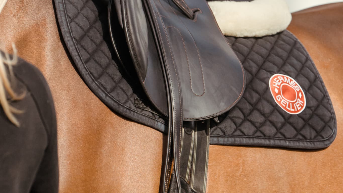 Saut Hermès 2023- CHRISTOPHE TANIÈRE