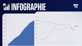 Démographie/ Insee 2021