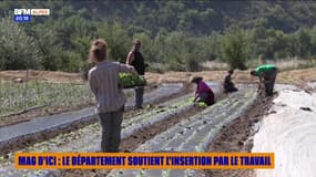 MAG D'ICI du mercredi 3 septembre - Le département soutient l'insertion par le travail