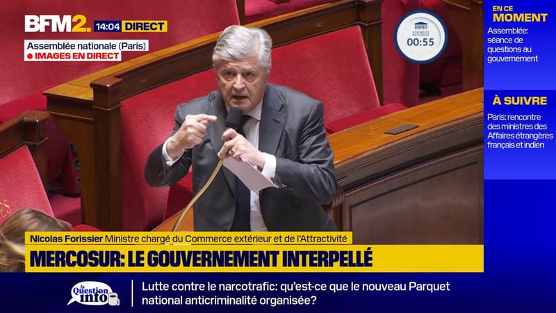 Mercosur: "Il n'y a pas les raisons satisfaisantes pour donner un accord à la signature", maintient le gouvernement