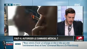 Faut-il autoriser le cannabis médical? Ca fait débat sur RMC