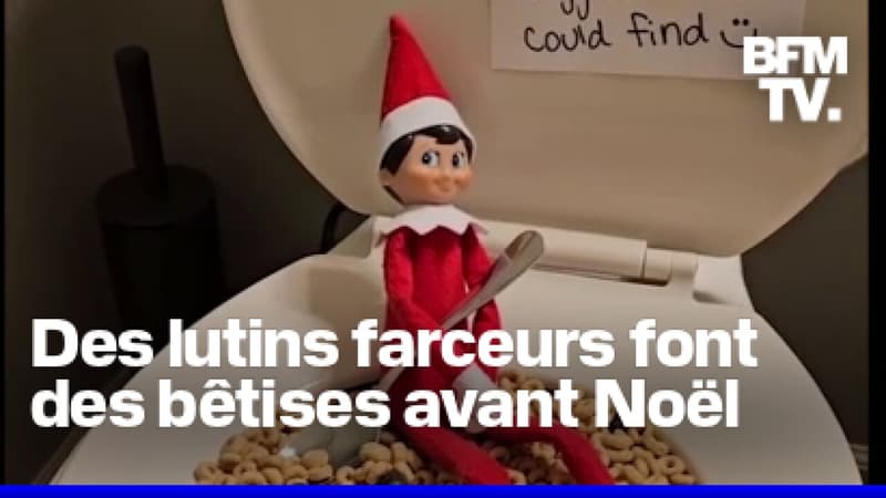 Des lutins farceurs font des bêtises dans les salons en attendant Noël